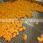 Sinocharm  orange segment Whole IQF Mandarin Orange  with BRC A Approved