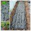 Anti Weed Plastic Mulch Film Agricultural Black Plastic Ground Cover