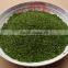 Food Grade Ulva Lactuca