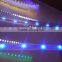 Big Sale Christmas Soft Led Strip Lamp 5050smd RGB Led Strip 5m/roll