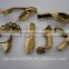 Wild Edible granulates dried boletus
