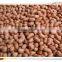 Raw Peanuts Kernel