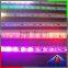 48LED/M DIGITAL LED BAR LIGHT DC12V