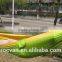 colorful camping hammock ,outdoor hammock