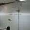freezer cold storage room for fish, chicken and meat