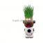desktop gift cheap flower pots outdoor plant small