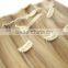 wholesale the great brazilian human hair extension clip on hair