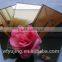 Factory directly supplied color mirror for decoration