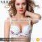 OEM Design Wholesale Applique Women High Quality Lingerie Sexy Bra