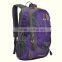 delicate sport mens bookbags
