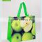 Green chinese non woven laminated bag with self material's handle