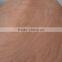 Rotary Cut Okoume Sheet Veneer for Plywood
