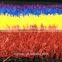 Good quality 25mm height artificial rainbow grass turf wall for kindergarten