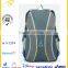 Walmart audit factory cheap wholesale solid leisure backpack