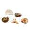 Deluxe Authentic Marine Life Fossil Excavation Dig Kit