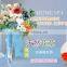 F2-003 Perfume Cuticare oil .nail care system