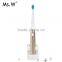2 in 1multi-function for electirc tooth brush and sonic facial brush