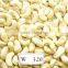 VietNam Cashew Nut Kernel WW 320