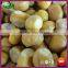 Newly Organic Frozen Peeled Cooked Chestnut Food Products