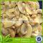 A9 canned king oyster mushroom in brine