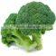 Top Quality Green cauliflower seed hybrid Broccoli Seeds