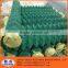 hot dipped&electric galvanized chain link fence, chain link wire mesh manufacture&supplier