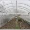 HDPE green agriculture netting/Anti-bird net/Anti-insect net