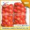 Junchi 100% Virgin UV Resistant pp Onion Mesh Bag