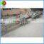 New developed vortex air bubble ozone fruit and vegetable washing production line