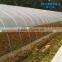 Baolida Simple Tunnel Green House