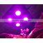 2016 Factory Price Best Selling Products 800 watt High Power COB LED Grow Light Chips