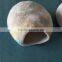 Gray felted wool cat cocoons