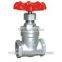 screw stainless steel gate valve