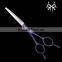 Various Colors and Handle Paint Scissors for Hairdressing Hair Scissors
