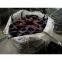 Track Shoe For SUMITOMO Crawler Crane SC500