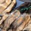 Factory wholesale raccoon skins