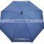 Auto Open Transparent Straight Umbrella LOGO Printing Cheap Umbrella pass BSCI