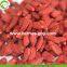 Factory Supply Dried Ningxia Wolfberry