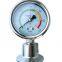 industrial gauges Hygienic Diaphragm needle pressure gauge