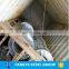 competitive price cold rolled coils bangladesh metal roofing sheet tmt bars scrap