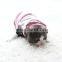 vogue Pet Little cat Kitten two feet Clothes letter applique sport hooded Overcoat
