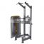 High Quality Gym Commercial Dual Function Chin Up Machine Dip Chin Assist Machine