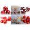 Automatic multiple functions fruit pitting machine