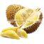 Premium Durian From The nature Of Vietnam