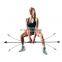 TEZEWA Custom logo Training Flexi Swing Bar Gymnastic Flexi-Bar Fitness