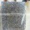 high quality ice blue flower granite tile