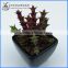 Mini artificial cactus plant with pot for indoor decoration