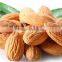 Factory Supply Almond