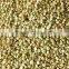 2015 corp peeled buckwheat grains top quality