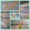 pvc coated or galvanized battery cage for chickens with full automatic system